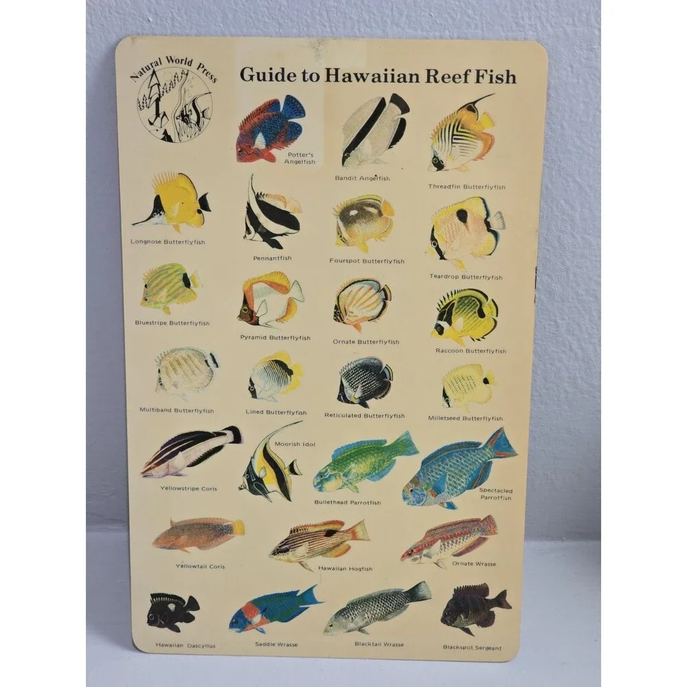 Vtg 1983 Guide to Hawaiian Reef Fish Plastic Card Natural World Press Ephemera